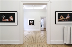 Ny grafikudstilling i Galerie Wolfsen d. 6. juni 2025